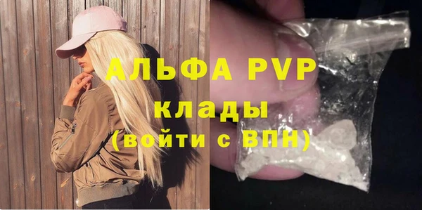 ПСИЛОЦИБИНОВЫЕ ГРИБЫ Богданович