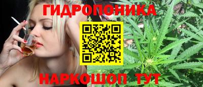 прущие грибы Жуковский