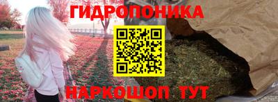 амф Кандалакша