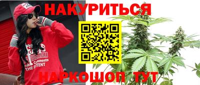 прущие грибы Жуковский