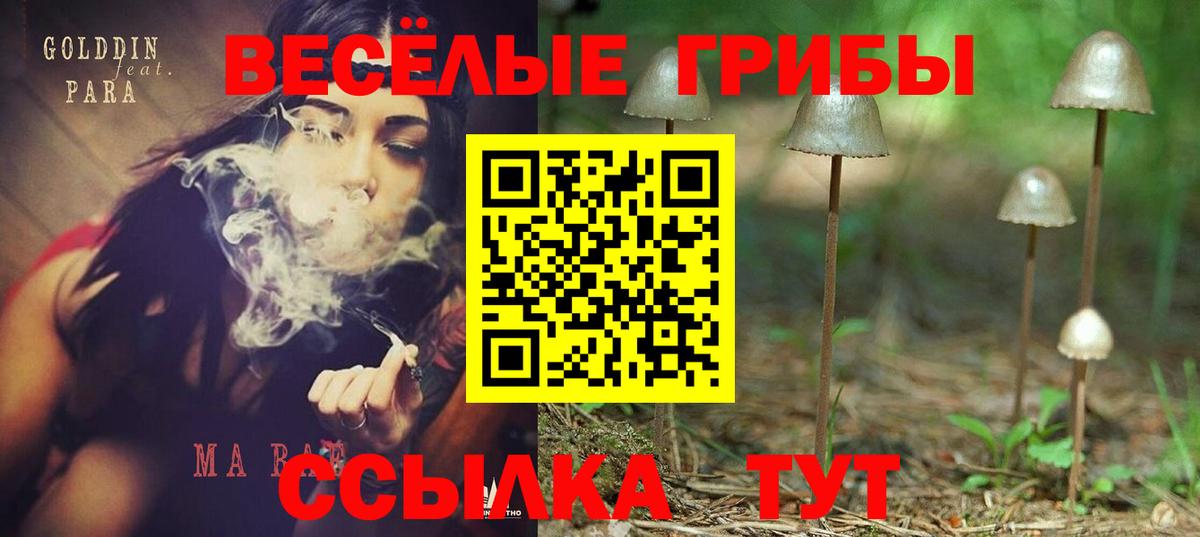 Галлюциногенные грибы Psilocybe  Сатка 