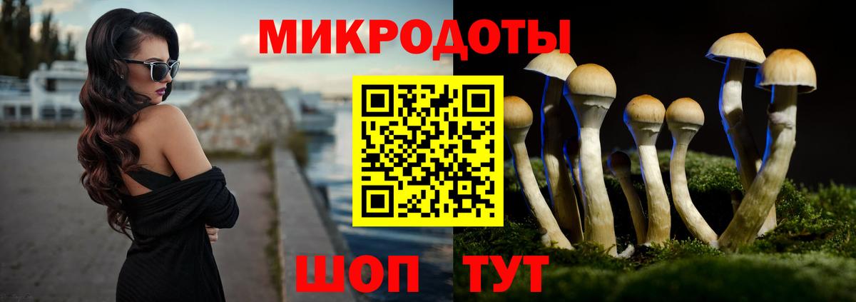 Галлюциногенные грибы ЛСД Сатка